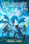 The Night Compass - 9781665910798 by Amanda Foody, 9781665910798