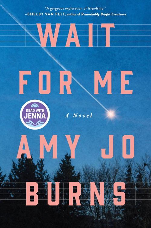 Wait for Me (A Novel) by Amy Jo Burns, 9781250399304