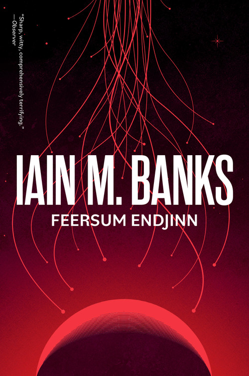 Feersum Endjinn by Iain M. Banks, 9780316588362