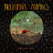 Nocturnal Animals by Ashley Anne Clark, 9781998129652