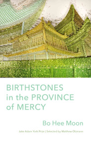 Birthstones in the Province of Mercy by Bo Hee Moon, 9781571315731