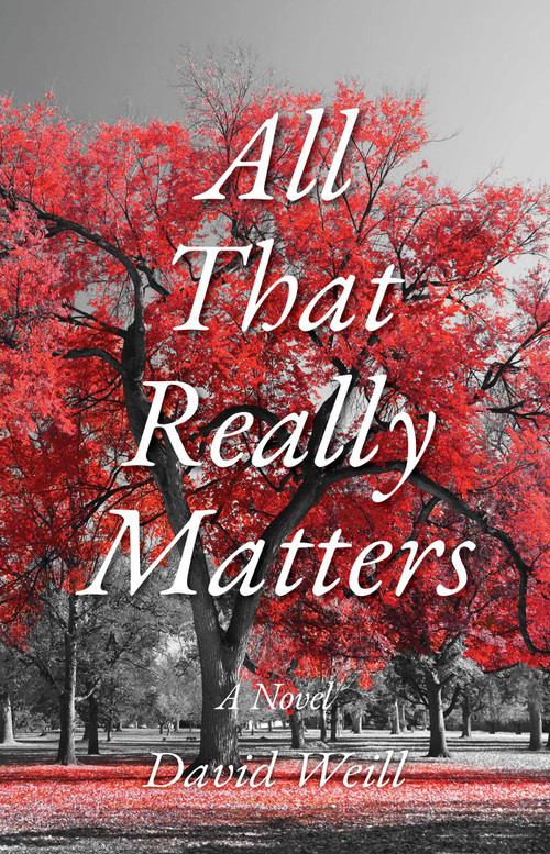 All That Really Matters (A Novel) - 9781644285060 by David Weill, 9781644285060