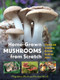Home-Grown Mushrooms from Scratch (A Practical Guide to Cultivating Mushrooms Outside and Indoors) by Magdalena Wurth, Herbert Wurth, 9798893030976