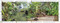 Rainforest by DK, 9780593964552
