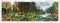 Rainforest by DK, 9780593964552