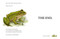 Don't Trust Fish by Neil Sharpson, Dan Santat, 9780593616673