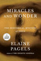 Miracles and Wonder (The Historical Mystery of Jesus) by Elaine Pagels, 9798217070107