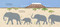Line Up! (Animals in Remarkable Rows) - 9781682637869 by Susan Stockdale