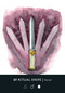The Ritual Deck (A 52-Card Deck and Guidebook) by Cassie Uhl, 9781401975265
