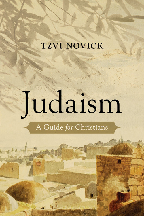 Judaism (A Guide for Christians) by Tzvi Novick, 9780802884329