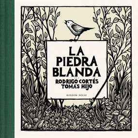 La piedra blanda / The Soft Stone (Spanish Edition) by Rodrigo Cortés, Tomás Hijo, 9788439744351