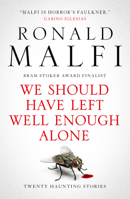 We Should Have Left Well Enough Alone by Ronald Malfi, 9781835410608