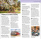DK Top 10 New Orleans by DK Travel, 9780241781517