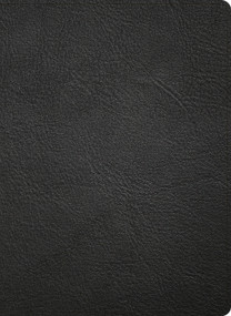 NASB Study Bible, Black Genuine Leather by Holman Bible Publishers, 9798384540335