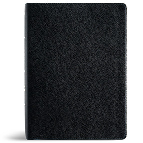 NASB Study Bible, Black Genuine Leather by Holman Bible Publishers, 9798384540335