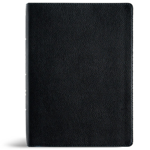 NASB Study Bible, Black Genuine Leather by Holman Bible Publishers, 9798384540335