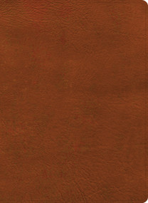 NASB Study Bible, Burnt Sienna LeatherTouch by Holman Bible Publishers, 9798384540359