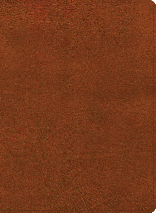 NASB Study Bible, Burnt Sienna LeatherTouch by Holman Bible Publishers, 9798384540359