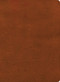 NASB Study Bible, Burnt Sienna LeatherTouch by Holman Bible Publishers, 9798384540359