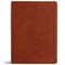 NASB Study Bible, Burnt Sienna LeatherTouch, Indexed by Holman Bible Publishers, 9798384540366