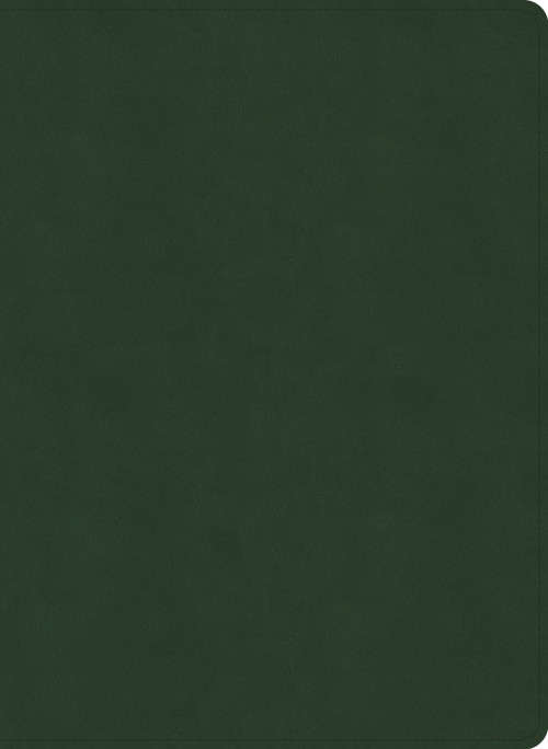 NASB Study Bible, Olive LeatherTouch by Holman Bible Publishers, 9798384540397