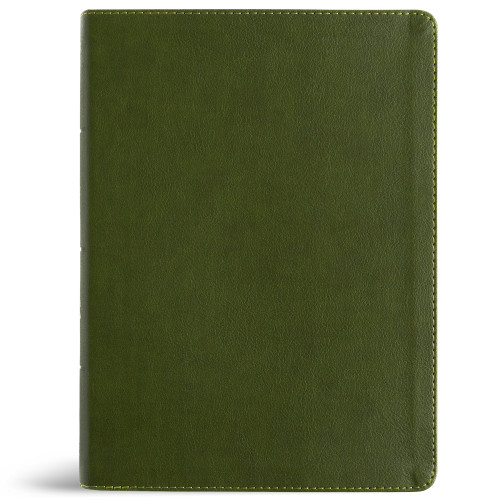 NASB Study Bible, Olive LeatherTouch, Indexed by Holman Bible Publishers, 9798384540403