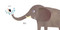 Merlin, Are You Small or Big? by Eva Rasano, Eva Rasano, 9781536247152