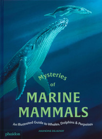 Mysteries of Marine Mammals (An Illustrated Guide to Whales, Dolphins, and Porpoises) by Amandine Delaunay, 9781837290918
