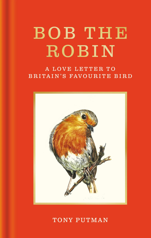 Bob the Robin (A love letter to Britain's favourite bird) - 9781856755320 by Tony Putman