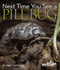 Next Time You See a Pill Bug by Emily Morgan, 9781936959174