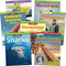 Place Value: Grades 2-3 (7-Book Set) by Multiple Authors, 9781643356679