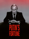 Putin's Fortune by Gildas java, Yvonnick Denoël, 9781990521454