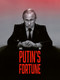 Putin's Fortune by Gildas java, Gildas java, Yvonnick Denoël, Yvonnick Denoël, 9781990521454