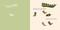 Peek-a-Clue: Safari Animals (An Animal Guessing Game) by Gideon Sterer, Marcos Farina, 9780593753583