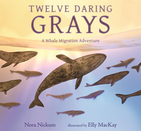 Twelve Daring Grays: A Whale Migration Adventure ((A Nonfiction Picture Book About Marine Life, Animal Behavior, and Ocean Ecosystems for Ages 5-8)) by Nora Nickum, Elly MacKay, 9781536234701