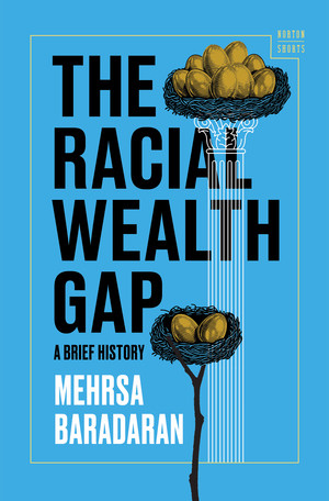 The Racial Wealth Gap (A Brief History) by Mehrsa Baradaran, 9780393881820