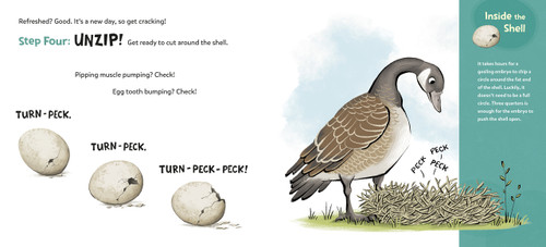 How to Hatch (A Gosling's Guide to Breaking Free) - 9780593811061 by Sara Holly Ackerman, Galia Bernstein