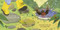 Baby Botanicals: Good Morning, Garden! by Jillian Miao, Riley Samels, 9780593519028