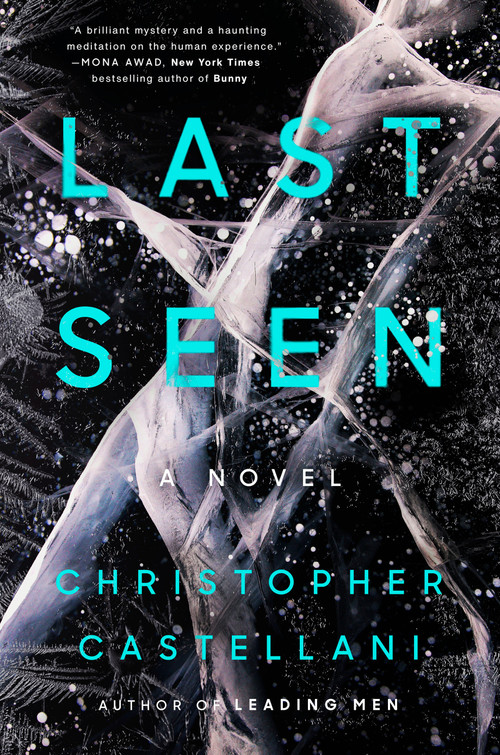 Last Seen (A Novel) by Christopher Castellani, 9798217061037