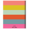July 2025 - June 2026 Super Stripe Large Monthly Planner by , 9798889615019