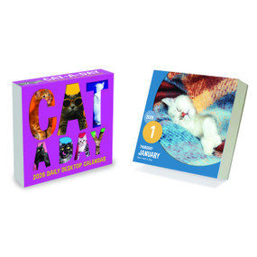 2026 Cat A Day Daily Desktop Calendar by , 9798889613893