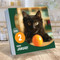2026 Cat A Day Daily Desktop Calendar by , 9798889613893
