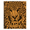 2026 Exotic Cat Large Monthly Planner by , 9798889614067