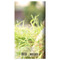 2026-2027 Dog Small Monthly Pocket Planner by , 9798889614531