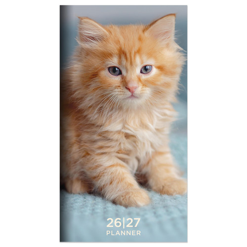 2026-2027 Kitten Small Monthly Pocket Planner by , 9798889614562