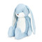 Big Nibble Floppy Bunny Maui Blue, BBTB190326