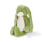 Sweet Floppy Nibble Pistachio, BBTB190545