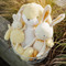 Sweet Floppy Nibble Lemongrass, BBTB190548