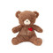 Teddy Love, BBTB190482