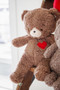 Teddy Love, BBTB190482